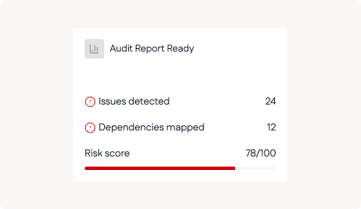 audit_report