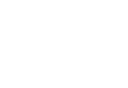 IDELE logo