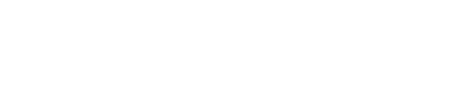 snowflake-w
