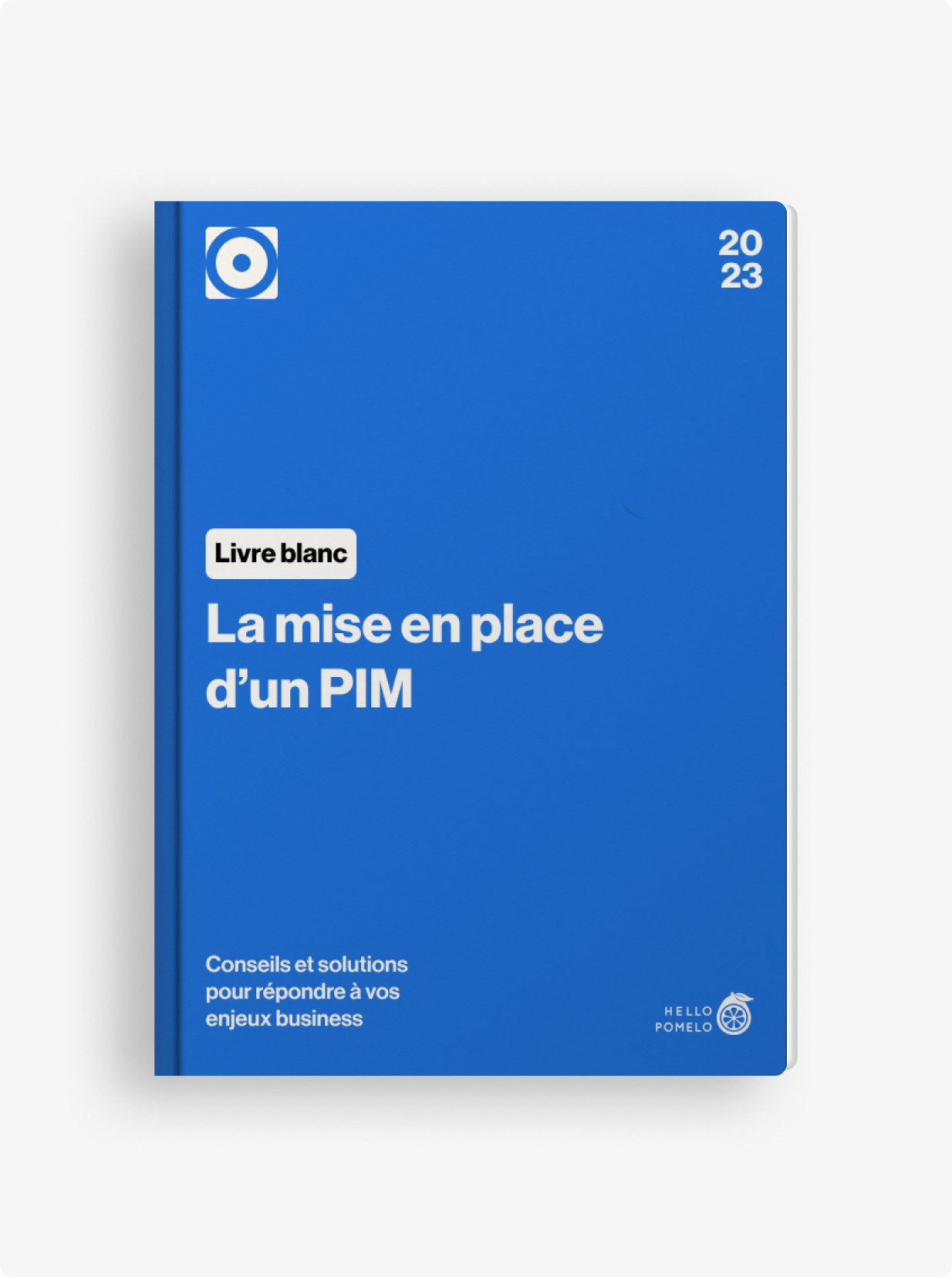 Livre blanc - mise en place d'un PIM