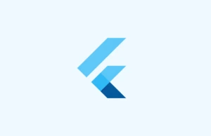 application flutter
