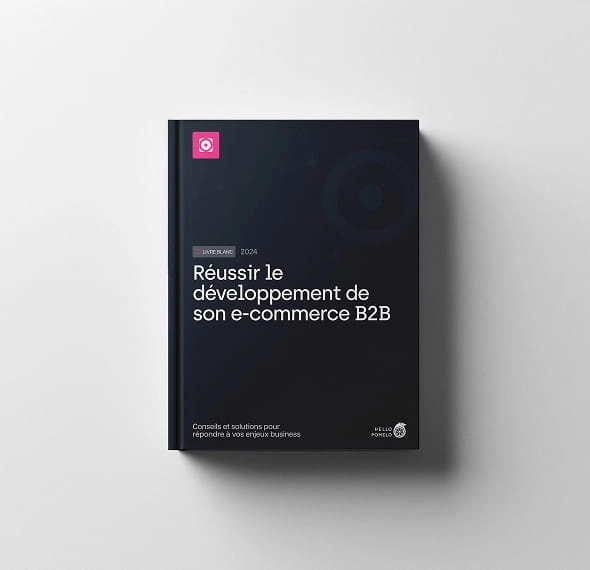 livre-blanc-ecommerce-b2b