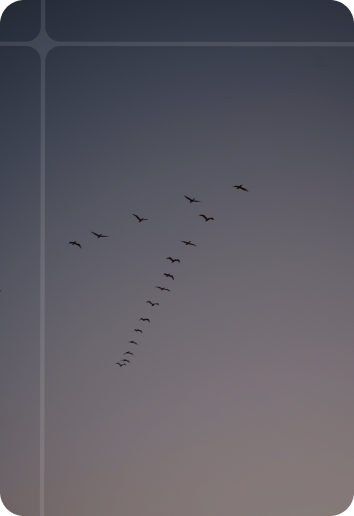 Migration de données